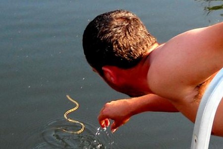 BentSnakeLake893457 BentSnakeLake893457