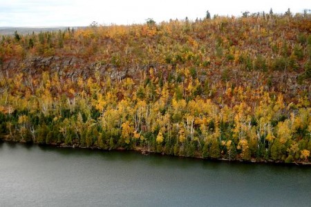 BeanLake348952