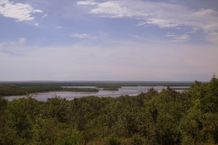 View