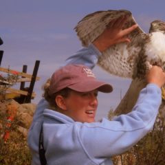 RedTail