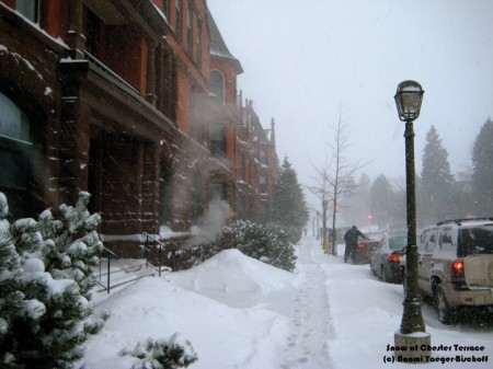 Snow at Chester Terrace