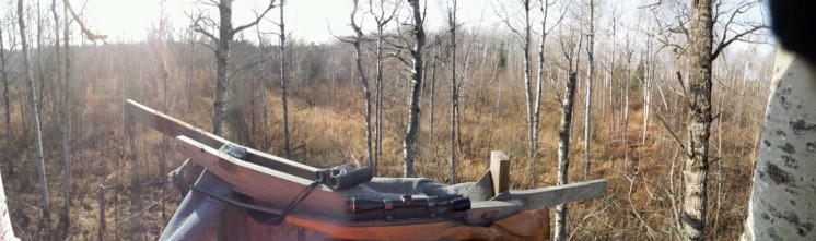 wpid-20111105_105518.jpg