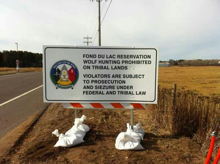 Wolf Hunting Prohibited on Fond du Lac Reservation