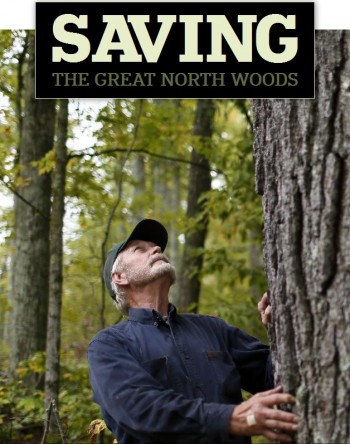 saving-the-great-north-woods