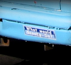 WWSD