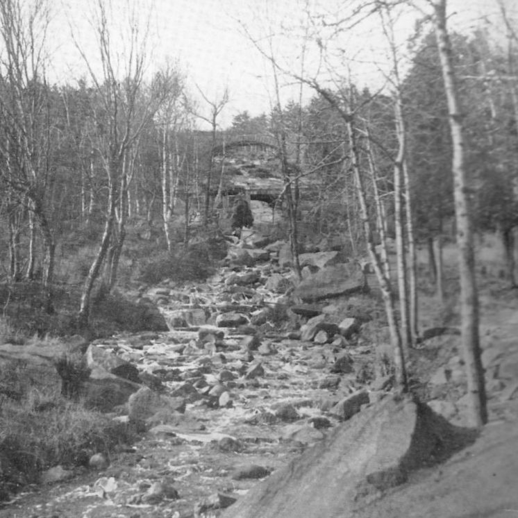 Kingsbury Creek
