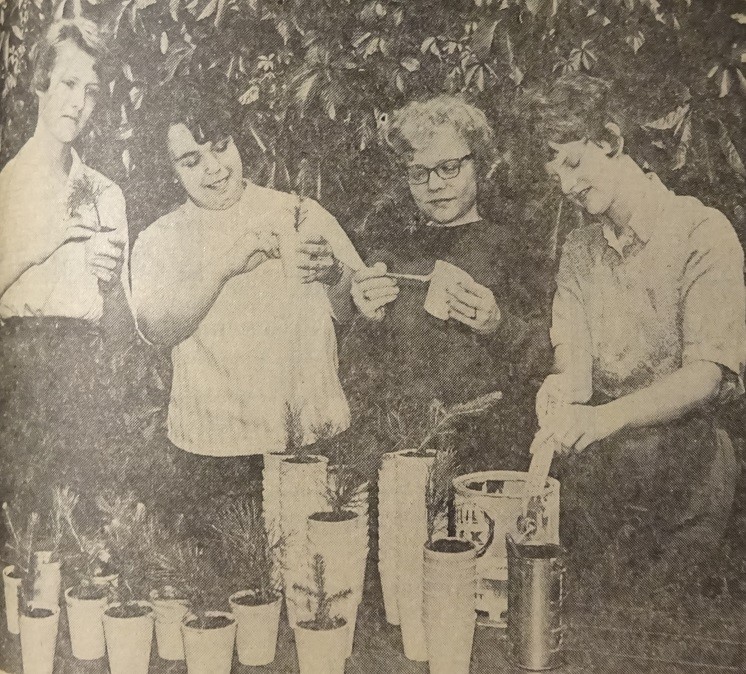UMD Sigma Alpha Iota Psi