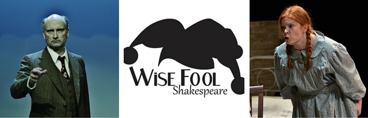 Wise Fool of Duluth