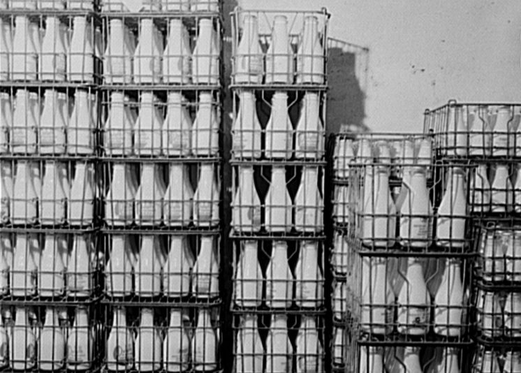 Bottled Milk - Duluth Milk Company