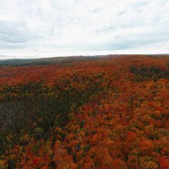 Minnesota Fall Colors Aerial Drone Video