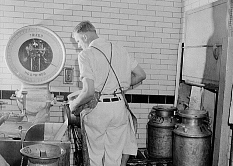 Weighing milk in the receiving room