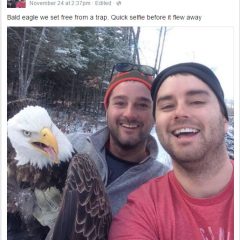 bald eagle rescue selfie