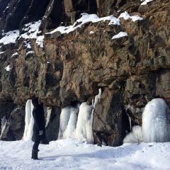 estell_profile
