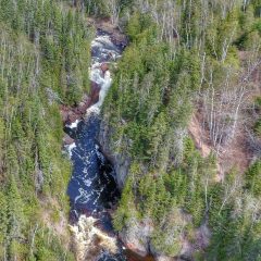 Devil's Kettle Falls Disappearing River
