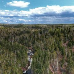 Devil's Kettle Falls Disappearing River