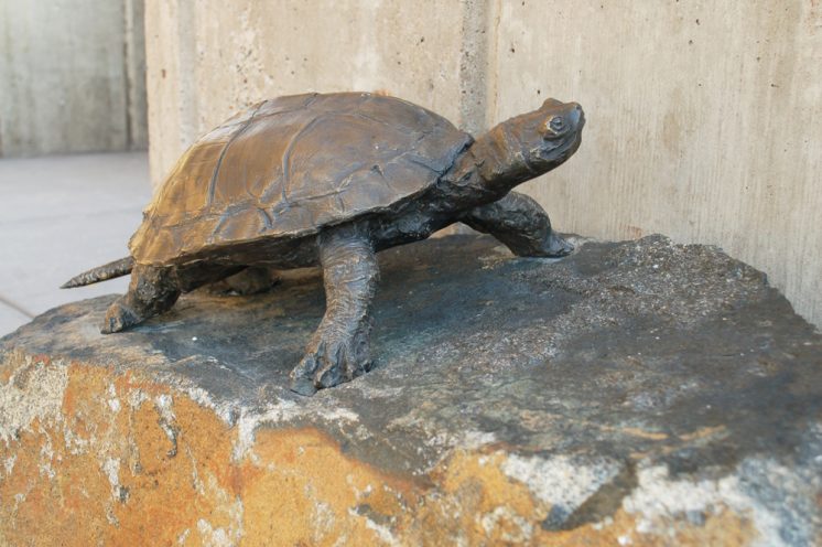 The turtle is a central feature of Estuary Plaza. He reminds me of all the turtles I (and my kids) have known as lake-loving Minnesotans. He's sitting on a piece of local basalt and seems pretty happy! The plaza was completed in 2016.
