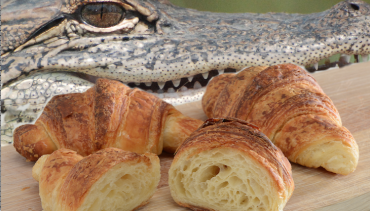 AlligatorBakery