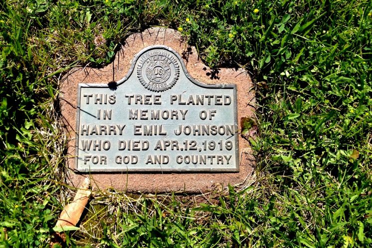 Harry-E-Johnson