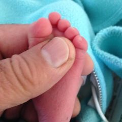 baby foot