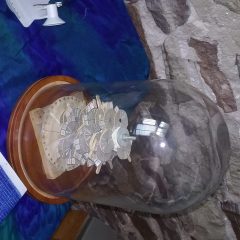 20160804_150518