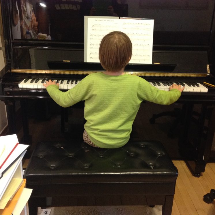 the whole piano