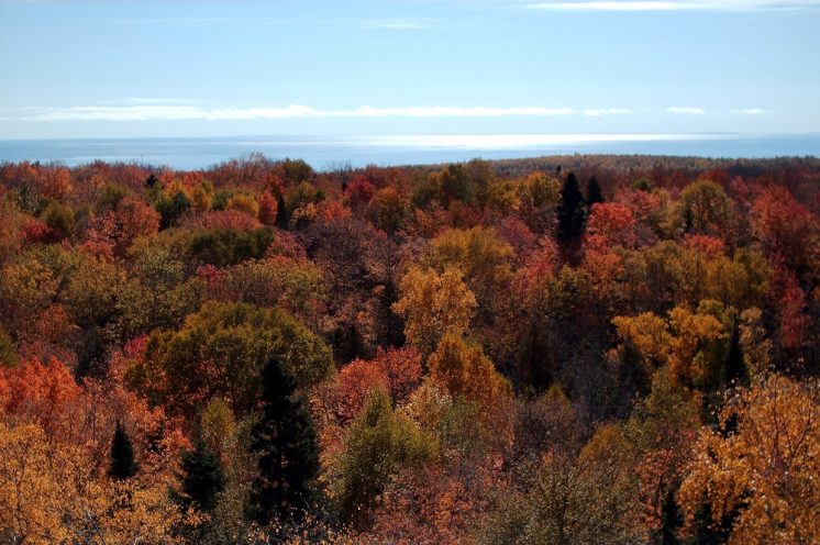 toweroverlook