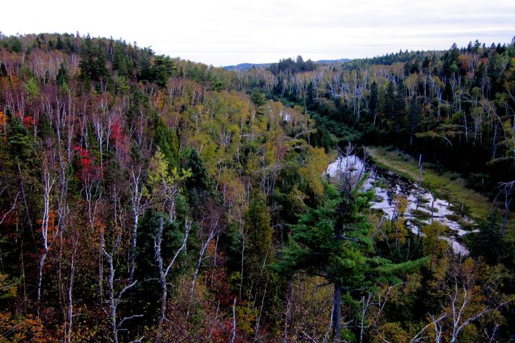 110923-ridge-over-beaver-pond