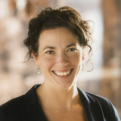 Duluth Mayor 2016