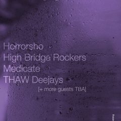 thaw1yearflyer2