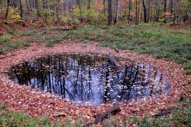 20141003 001 puddle