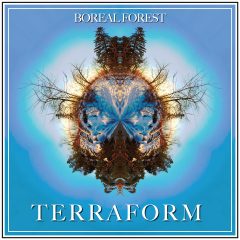 Boreal Forest - Terraform