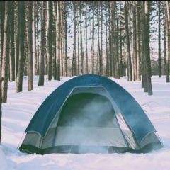 Camp Gecko